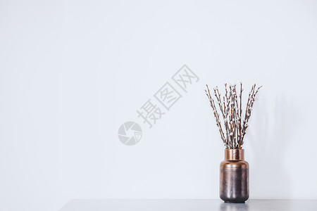 白墙上的花瓶里有芽的树枝装饰边界卡片色调元素小穗家居发芽创造力桌子背景图片