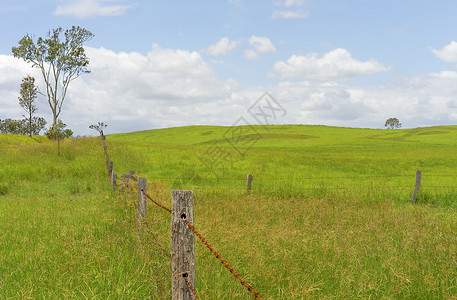 昆士兰州农村牧场高清图片