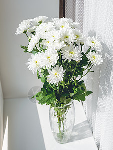 窗边玻璃花瓶中的白菊花束 太阳光和几何阴影 脆弱和亮度的象征 笑声阳光雏菊植物白色窗台洋甘菊寓言背景图片