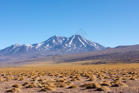 玻利维亚山脉阿塔卡马沙漠 智利 安第斯 南美 美丽的景色和风景天空日落编队动物山脉沙漠高原旅行国家山谷背景