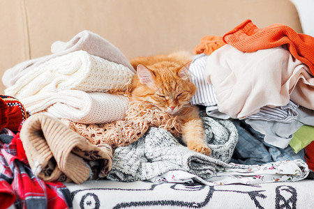 可爱的姜猫睡在一堆针织衣服上 温暖的针织毛衣和围巾叠成一堆 毛茸茸的宠物在羊毛衫中间打瞌睡 舒适的家庭背景褐色动物钩针织物收藏折背景图片