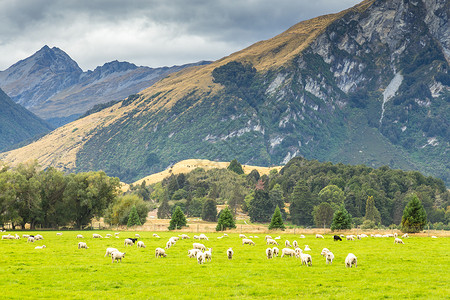 双奥之城新西兰的皇后镇 冒险与自然之城 这里旅游景观日落假期地标城市游客旅行观光日出背景