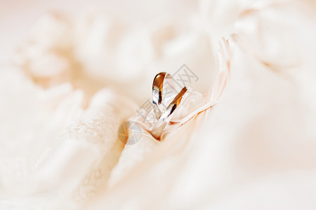 金婚环对齐的丝绸带织物 爱情和婚姻的象征蕾丝配饰宏观戒指订婚珠宝褐色宝石静物丝带背景图片