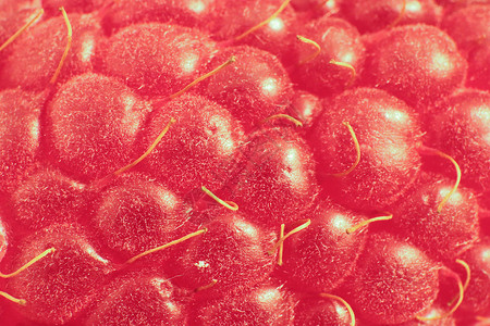 草莓宏观特写 纹理背景红色浆果纤维覆盆子植物水果谷物背景图片