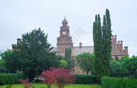 Chernivtsi 国立大学花园高清图片