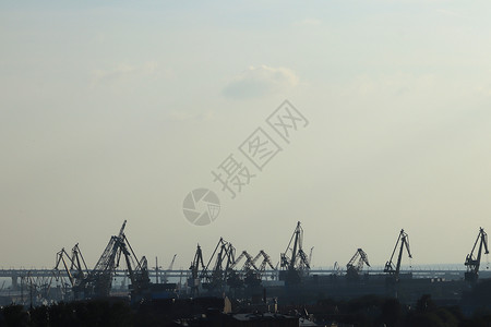 仙鹤地平线城市景色 圣彼得堡背景图片