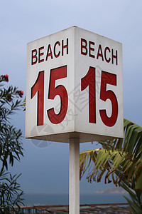 带有棕榈叶的15号海滩标志数字棕榈叶子背景图片