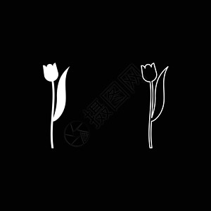 花郁金香植物剪影图标轮廓设置白色矢量插图平面样式 imag背景图片