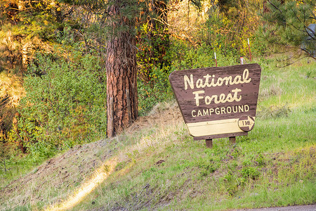 表示全国森林营地的标志(签名)高清图片