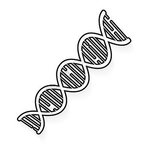 塑造身体曲线矢量 DNA 图标矢量明亮插图适合贺卡海报或 T 恤印刷插画