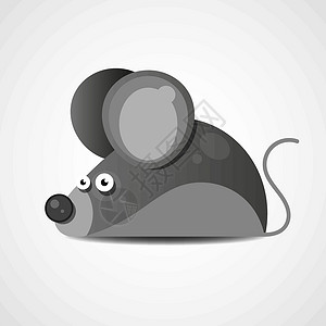 灰色背景 Vecto 上孤立的家鼠插图插画