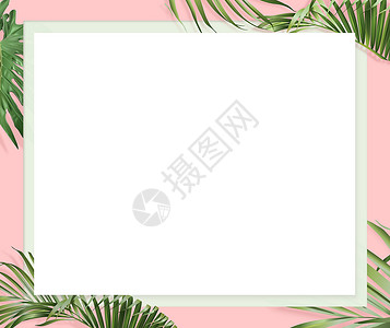 欧几里得网站横幅 有粉红背景 优clidean和棕榈叶边界空白热带传单棕榈粉色海报框架白色树叶营销背景