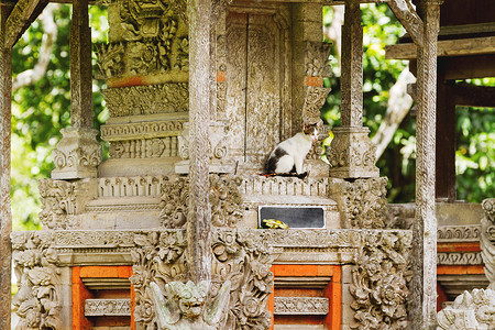 猫雕塑宗教老的高清图片