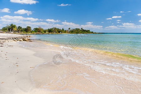 柔软的海浪在沙滩上 蓝天 白沙滩 棕榈树和蔚蓝的大海 古巴 巴拉德罗 加勒比海海滩旅行海岸地平线活力海洋晴天假期旅游海景背景