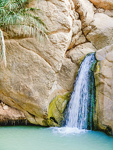 西瓦绿洲突尼斯非洲高清图片