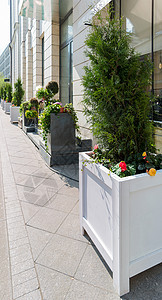 装饰着植物和鲜花的街道装饰品 俄罗斯莫斯科 文本放行地背景