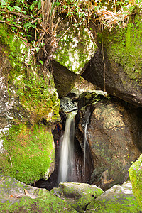 果阿牙也寺Gagajah寺大象洞穴寺庙的瀑布 印度尼西亚巴厘岛乌布德地标旅行公园乌布苔藓石头旅游丛林森林热带背景