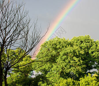 雨后天彩中的彩虹背景图片