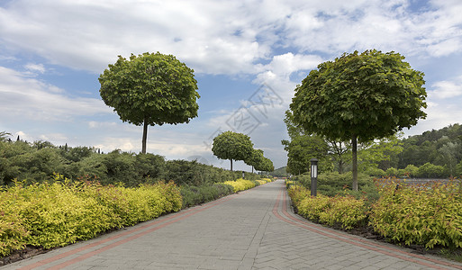 一条铺砌的阶梯式小路 周围环绕着修剪整齐的灌木和树木背景图片