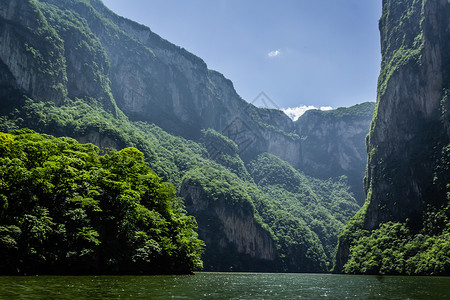 墨西哥恰帕斯州苏米德罗峡谷景点植物山脉生态旅游旅游环境图片