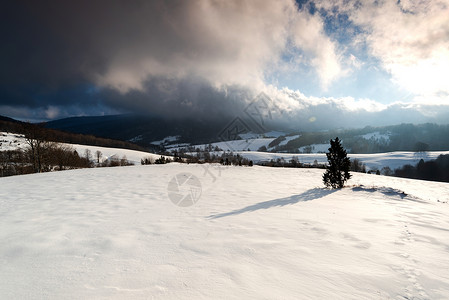Bieszczady山白雪覆盖的波罗尼娜上冬日升高清图片