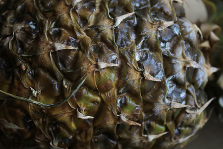 菠萝皮纹理框架摄影黑色水果皮肤宏观食物甜点植物热带背景图片
