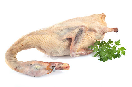 穆拉德工作室中的鸭肉烹饪食物香菜鹅肝背景