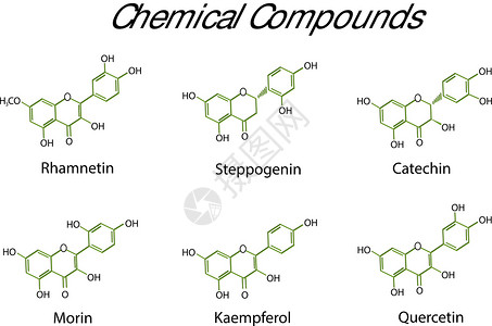 生物活性肽类黄酮的抗炎活性设计图片