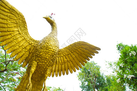 方形孔雀金入口金子雕像天空游客公园宗教雕塑旅行动物高清图片