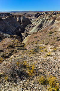 林恩峡谷公园亚利桑那干燥高清图片