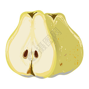 在白色背景矢量插图上 将梨子整片切成半块隔开黄色绿色水果叶子健康饮食梨图食物种子插画