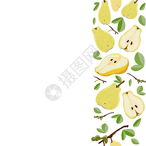 整个黄梨 叶子无缝垂直边框 在白色背景上食物作品水果剪贴簿饮食插图种子背景图片