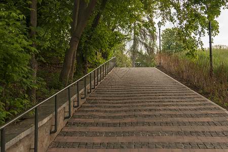 公园小巷人行道树木旅行叶子小路绿色踪迹楼梯背景图片