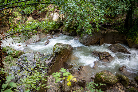 马尔莫尔公牛瀑布桥公园植物木头活力旅游森林溪流植被泡沫流动背景图片