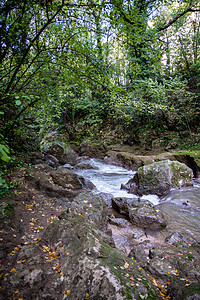 马尔莫尔公牛瀑布桥树木旅行旅游力量公园流动森林泡沫环境溪流背景图片