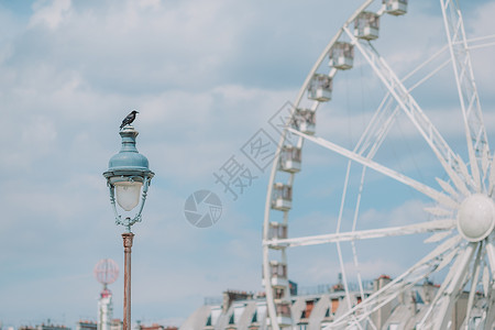 在来自图利里花园的汇合广场上的巴黎罗厄金属旋转旅游飞机旋转木马享受蓝色乐趣天空大轮背景图片