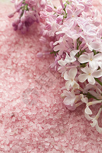 红花花和洗澡粉红色盐顶背景 结婚证背景 张礼证背景背景图片