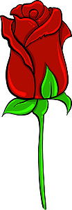白色背景上的红玫瑰插画矢量叶子庆典植物绿色花瓣插图婚礼红色背景图片