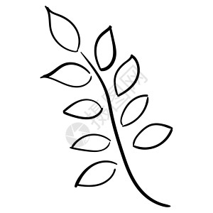 有叶子的植物的分支 素描风格中的矢量绘图艺术草图树叶装饰植物学丛林生物花园生长植物群背景图片