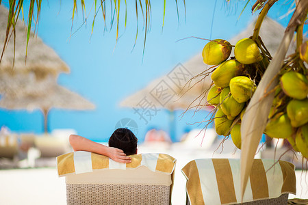 热带海滩椰子树女人在椰子树下面的遮晒室休息员上放松背景