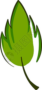 白色背景上的绿色生态网络叶子植物插图艺术环境生活背景图片