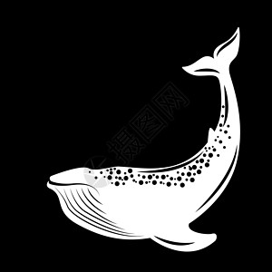 鲸 矢量插图平面样式 黑与白绘画哺乳动物游泳动物生态标识海洋动物群背景图片