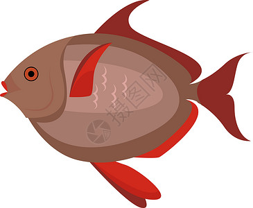 白色背景上的红色标识海洋食物动物群海鲜野生动物艺术动物蓝色背景图片