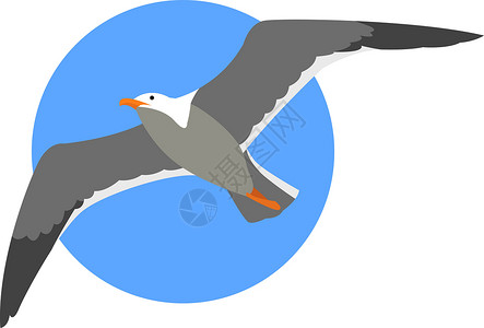 白色背景上的海鸥飞翔插画矢量背景图片
