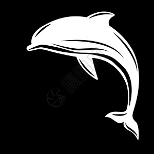 海豚 矢量插图平面样式 黑与白游泳动物海洋哺乳动物绘画动物群标识生态背景图片