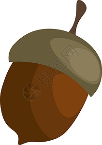 白色背景上的棕色坚果插图艺术卡通片橡木橡子夹子季节食物生长背景图片
