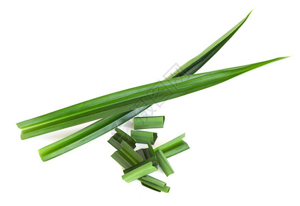 白色背景上孤立的新鲜绿色板兰叶树叶香气食物绿色烹饪植物草本叶子草本植物背景图片