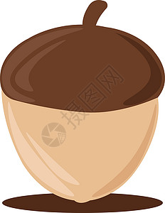 白色背景上的棕色生长食物植物橡子坚果艺术种子夹子季节卡通片背景图片