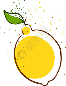 白色背景上的新鲜柠檬插画矢量叶子水果种子香橼黄色插图包装食物背景图片