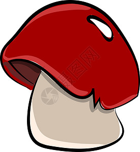 有机蘑菇白色背景上的红色植物菌类食物卡通片艺术蘑菇毒菌绘画插画